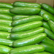 Productos