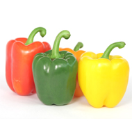 Productos